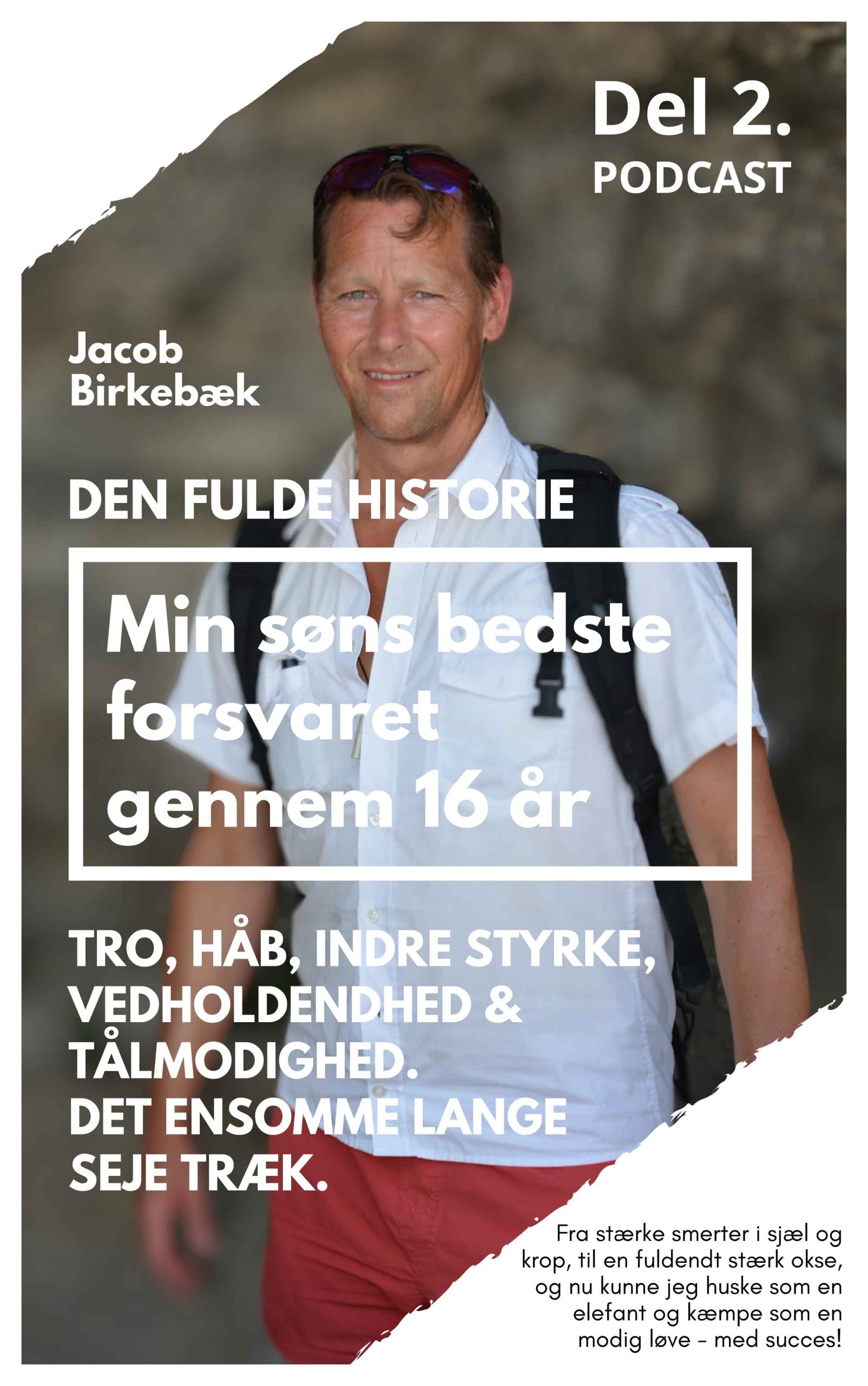 Del 2 - Min søns bedste forsvaret gennem 16 år
